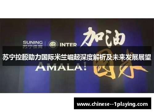 苏宁控股助力国际米兰崛起深度解析及未来发展展望