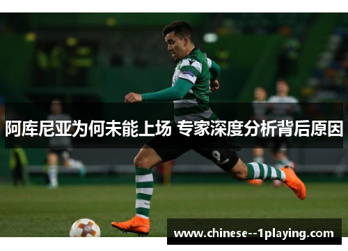 阿库尼亚为何未能上场 专家深度分析背后原因